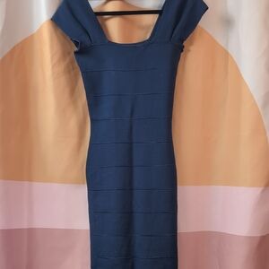 Max Studio Navy Blue Bodycon Dress